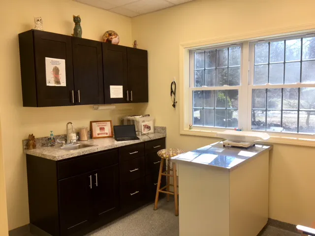 Cat's Corner Veterinary Hospital 12