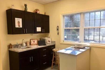 Cat's Corner Veterinary Hospital