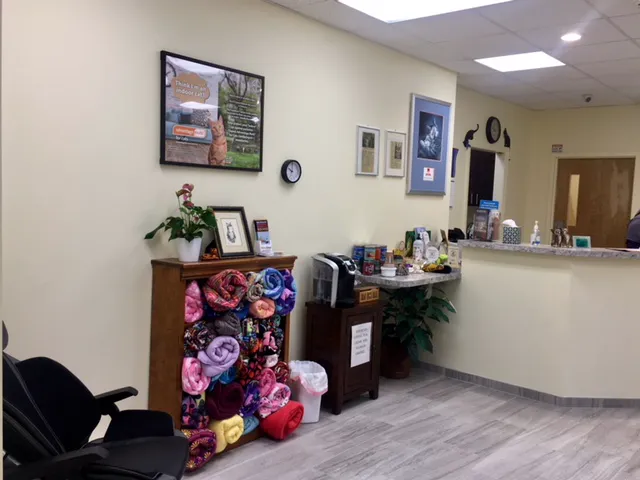 Cat's Corner Veterinary Hospital 12