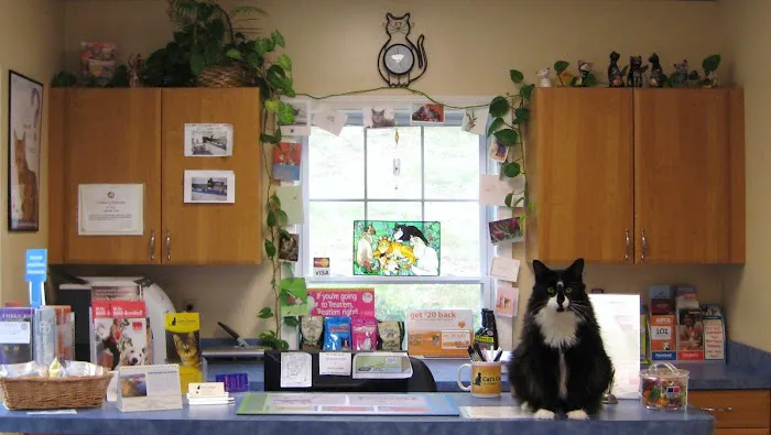 Cat's Corner Veterinary Hospital 12