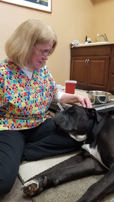 Animal Health Practice, Inc. 12
