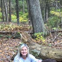 Animal Health Practice: Angela Erickson-Greco, D.V.M. ico