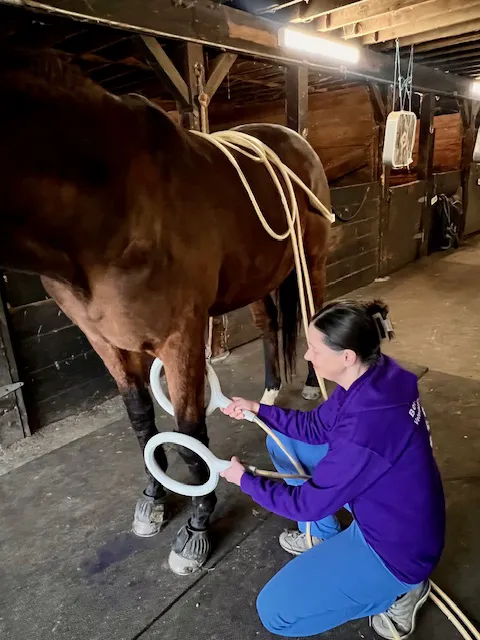 Berkshire Veterinary Hospital 12