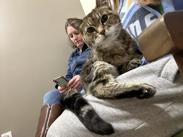Evergreen Veterinary Clinic 12