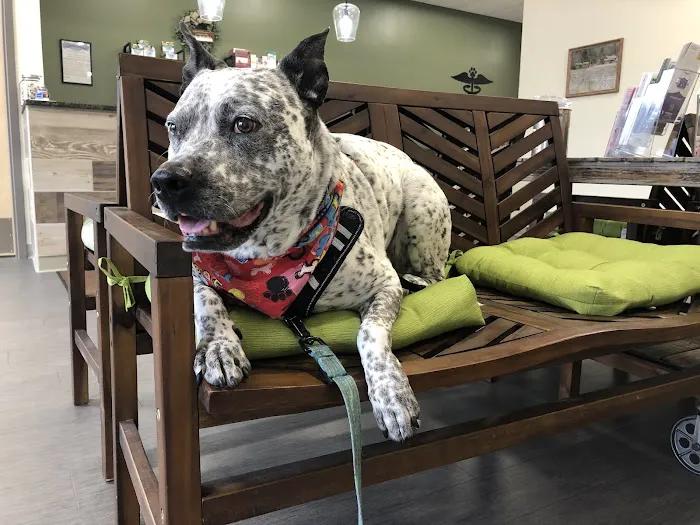 Evergreen Veterinary Clinic 12
