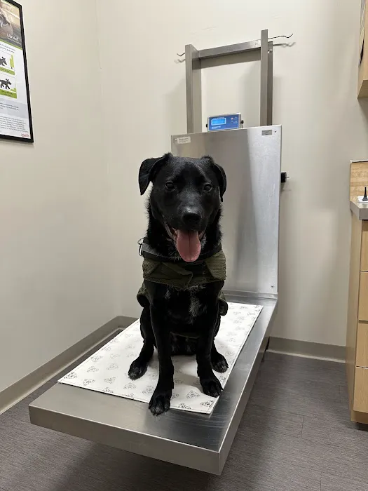 Evergreen Veterinary Clinic 12