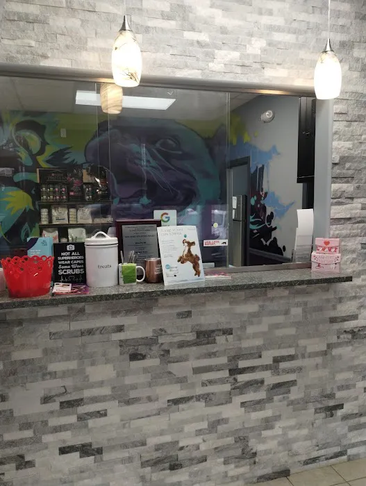 Value Pet Vet 12