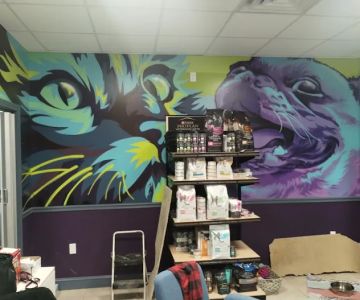 Value Pet Vet