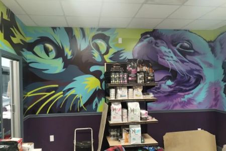 Value Pet Vet