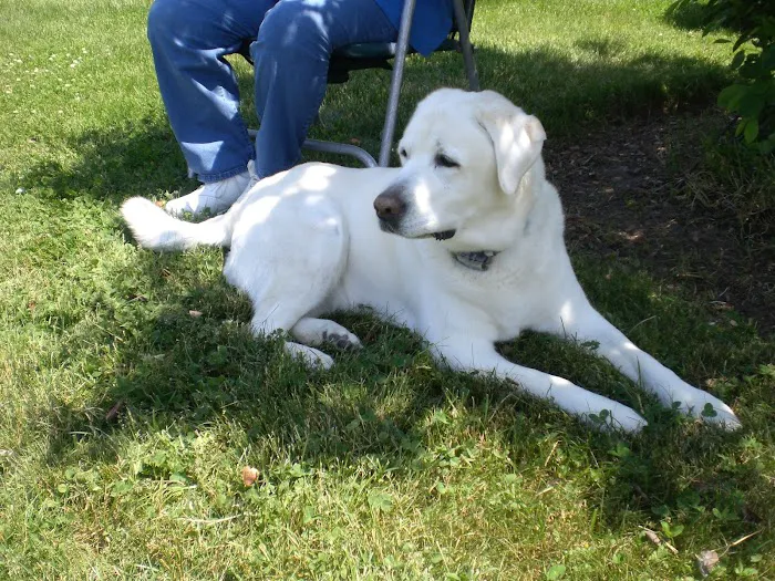 Monroe Town and Country Veterinary Hospital 12