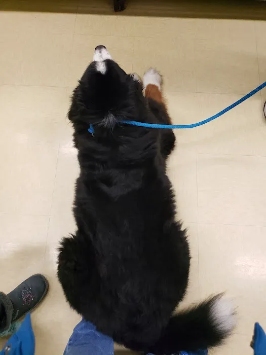 Vetco Vaccination Clinic 1