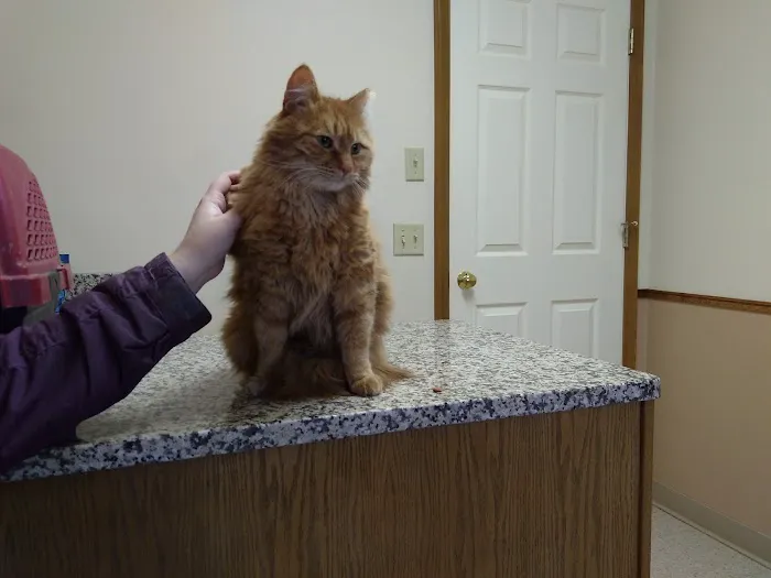 Veterinary Medical Center 4