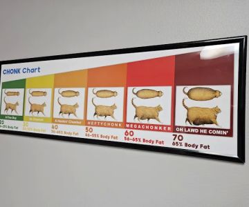 Animal Hospital - Endwell NY