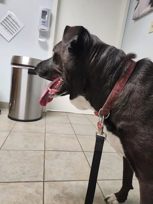 VCA Southern Tier Animal Hospital 9