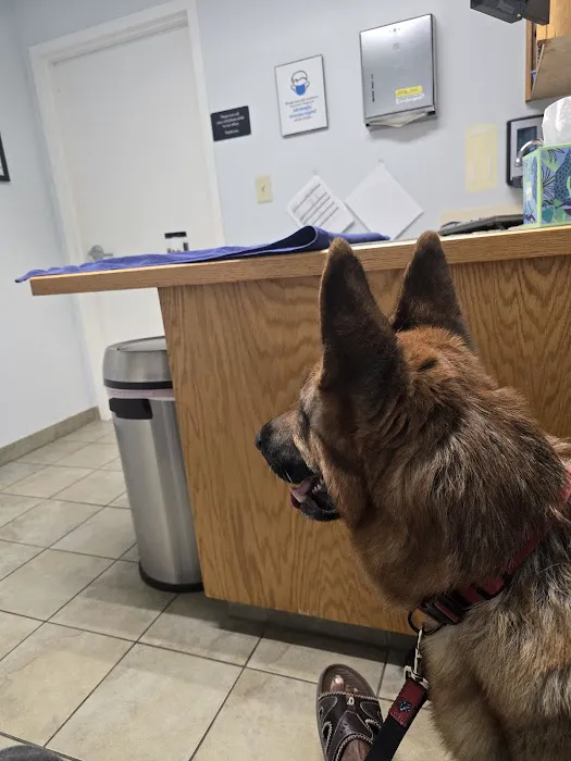 VCA Southern Tier Animal Hospital 4