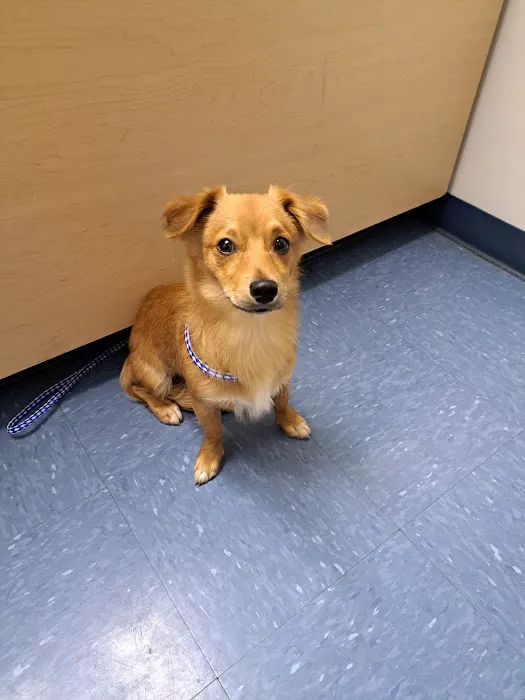 Piedmont Communities Spay Neuter & Wellness Clinic 2