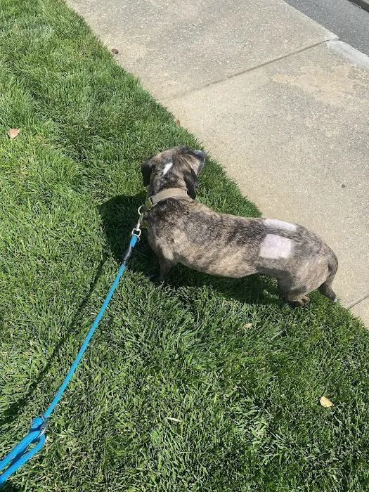 Piedmont Communities Spay Neuter & Wellness Clinic 10