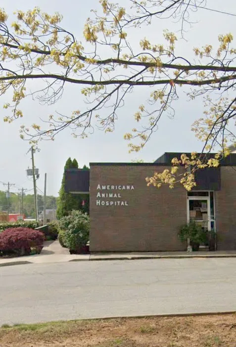 Americana Animal Hospital 12