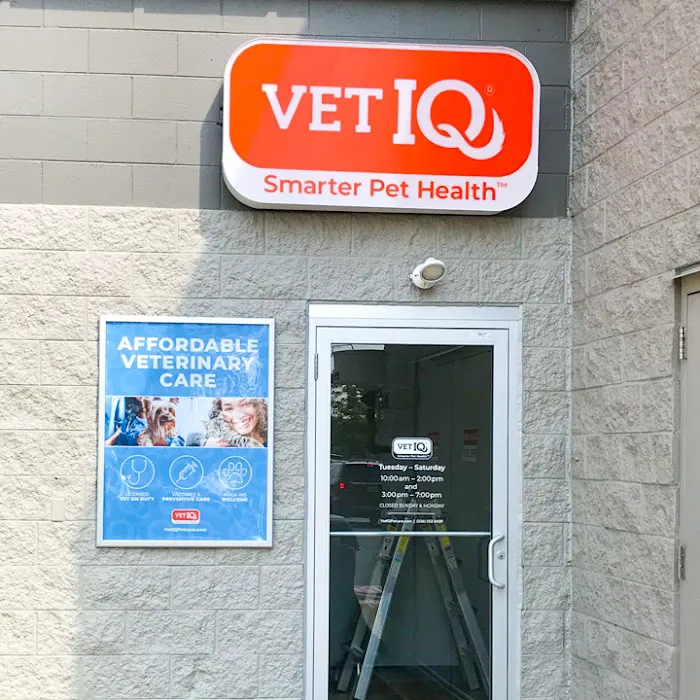 VetIQ Petcare 12