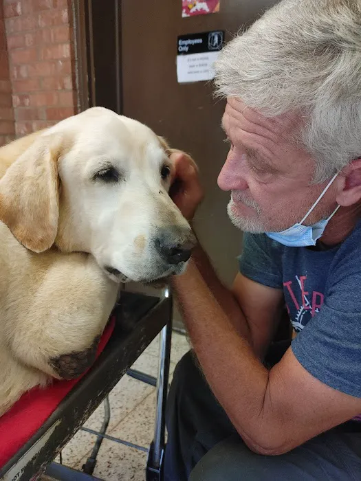 Burlington Road Animal Hospital 2