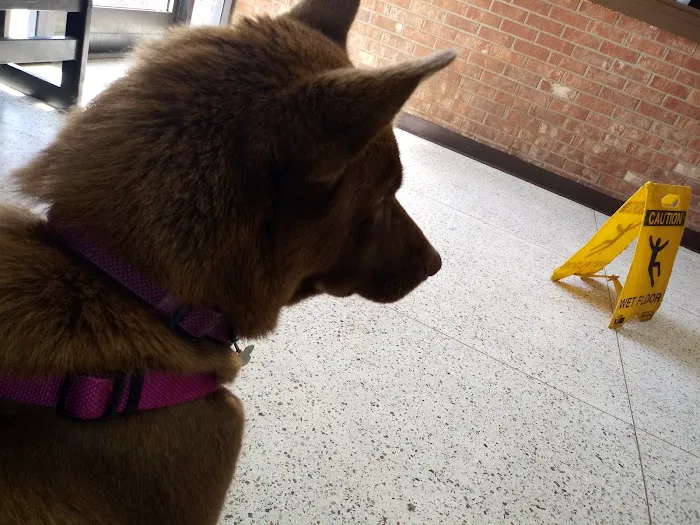 Burlington Road Animal Hospital 5