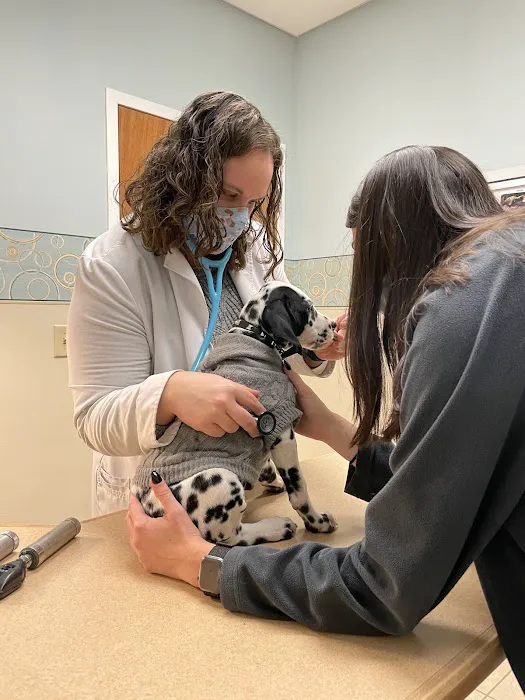 Gate City Animal Hospital 8