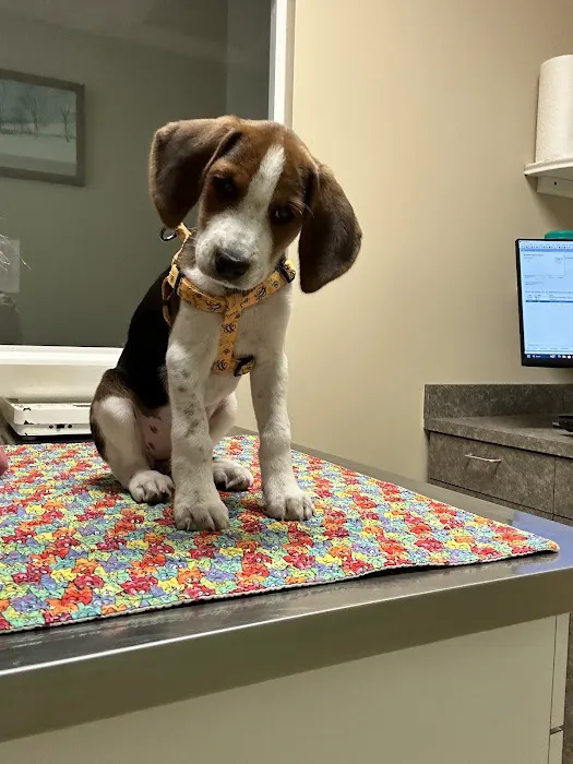Stoney Creek Veterinary Hospital 8