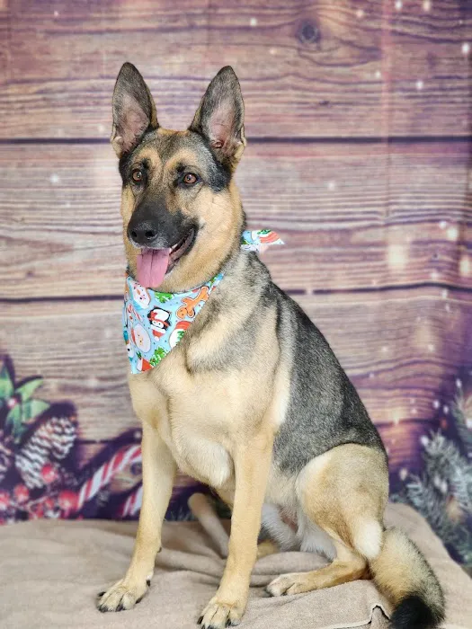 Stoney Creek Veterinary Hospital 7