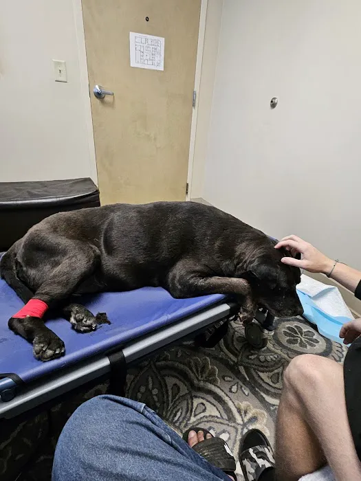 Stoney Creek Veterinary Hospital 1