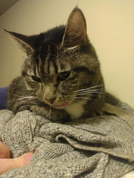 Cornwallis Road Animal Hospital 12