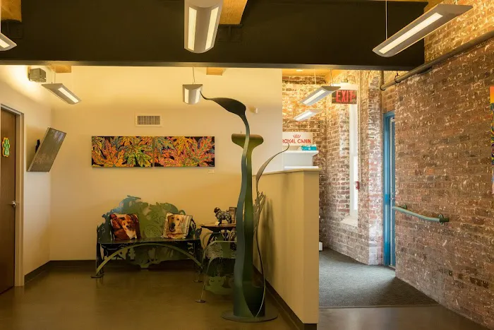 Bull City Veterinary Hospital 10