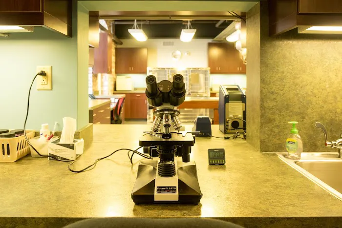 Bull City Veterinary Hospital 8