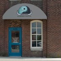 Bull City Veterinary Hospital ico