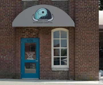 Bull City Veterinary Hospital