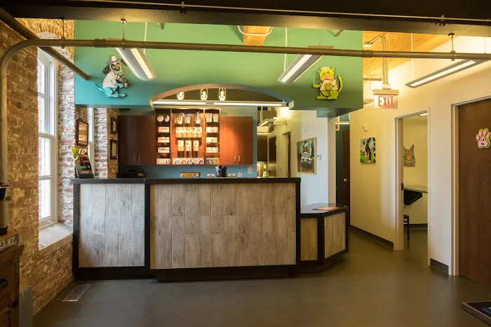 Bull City Veterinary Hospital 4