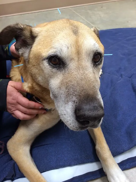 Broadway Veterinary Hospital 12