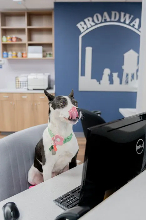 Broadway Veterinary Hospital 12