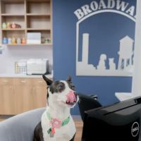 Broadway Veterinary Hospital ico