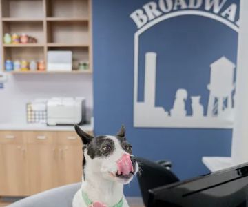 Broadway Veterinary Hospital