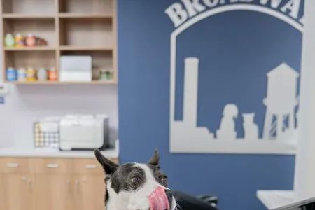 Broadway Veterinary Hospital