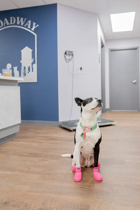 Broadway Veterinary Hospital 12
