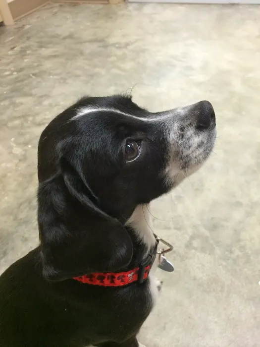 Broadway Veterinary Hospital 12