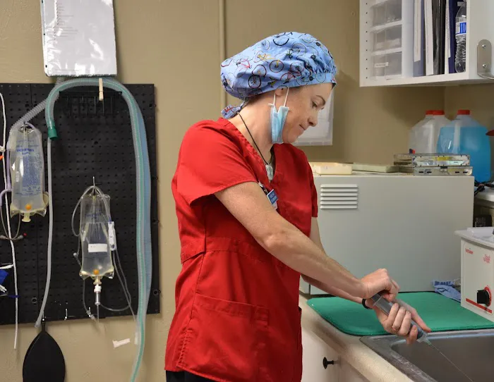 Westside Animal Hospital 12