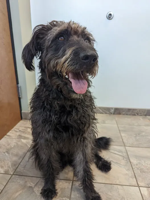 Willow Oak Veterinary Hospital - Mark Cagle DVM 12