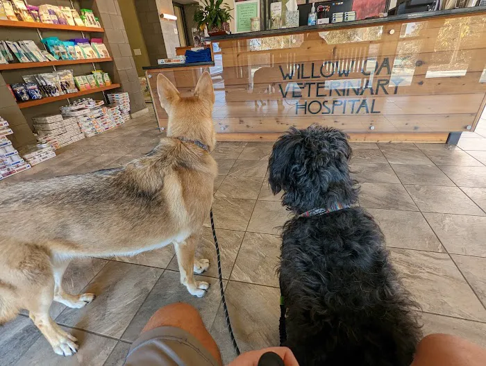 Willow Oak Veterinary Hospital - Mark Cagle DVM 12