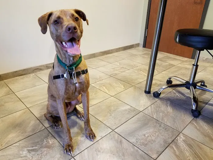 Willow Oak Veterinary Hospital - Mark Cagle DVM 12
