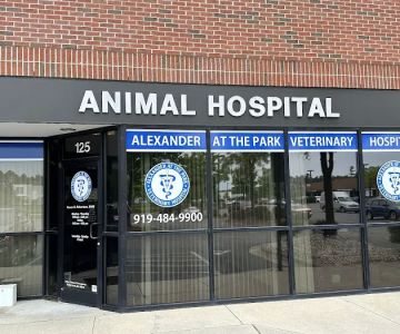 Alexander At The Park Veterinary Hospital