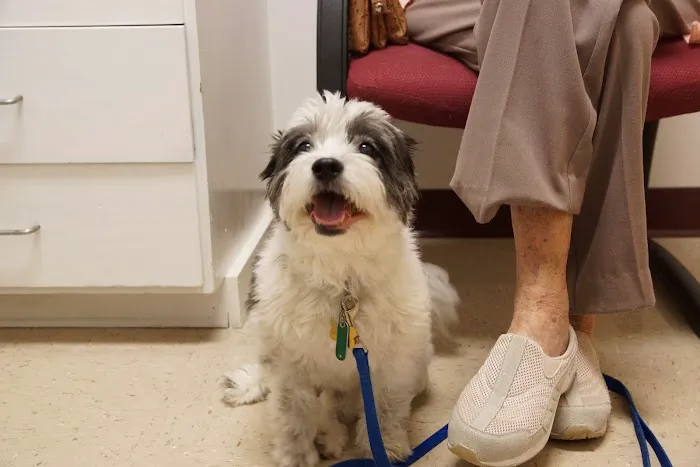 Alexander At The Park Veterinary Hospital 3