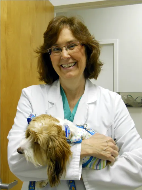 Alexander At The Park Veterinary Hospital 5