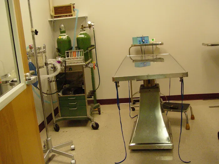 Alexander At The Park Veterinary Hospital 9